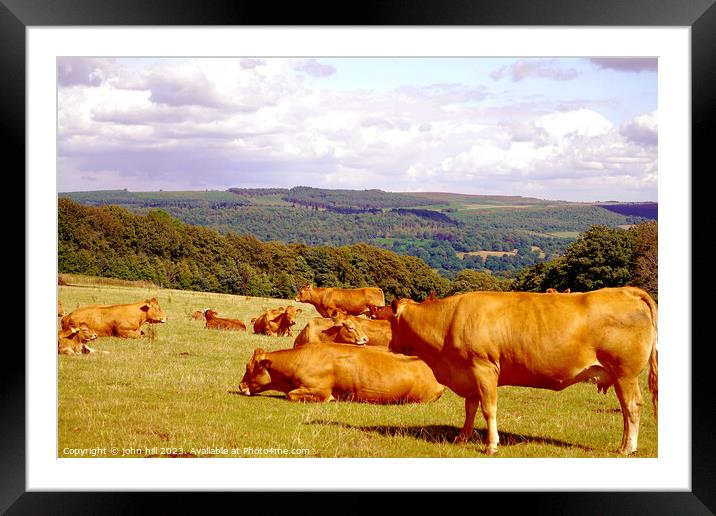 Serene Pastures: Derbyshire's Summer Tranquillity Framed Mounted Print by john hill