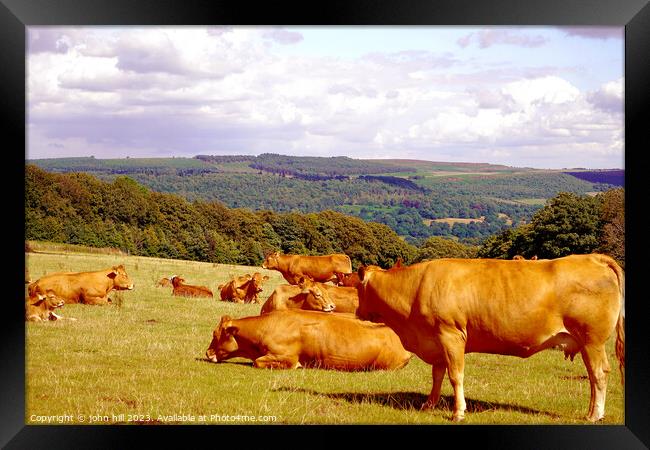 Serene Pastures: Derbyshire's Summer Tranquillity Framed Print by john hill