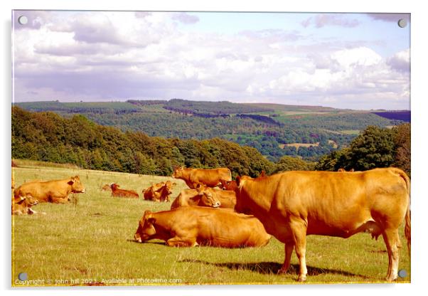 Serene Pastures: Derbyshire's Summer Tranquillity Acrylic by john hill