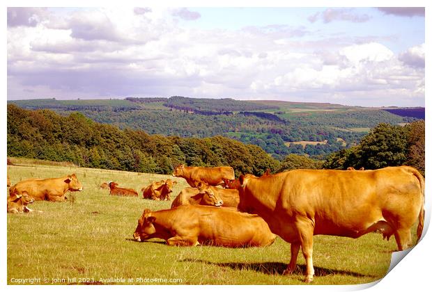 Serene Pastures: Derbyshire's Summer Tranquillity Print by john hill