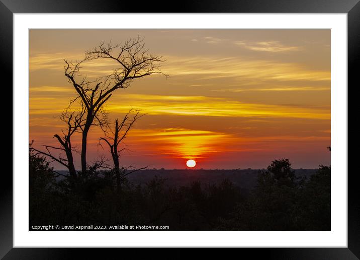 Sunset over Kruger Framed Mounted Print by David Aspinall