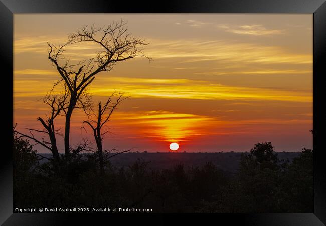 Sunset over Kruger Framed Print by David Aspinall