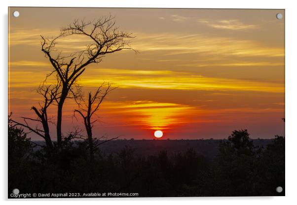 Sunset over Kruger Acrylic by David Aspinall