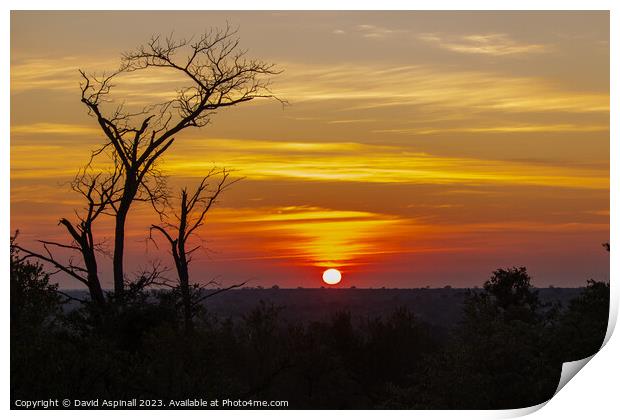 Sunset over Kruger Print by David Aspinall