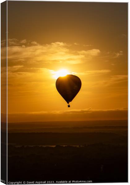 Sunrise over Hot Air Balloon Canvas Print by David Aspinall