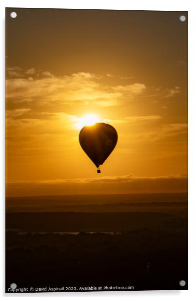 Sunrise over Hot Air Balloon Acrylic by David Aspinall