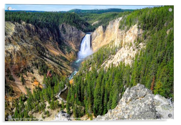 Lower Falls In Yellowstone Acrylic by Donna Kennedy