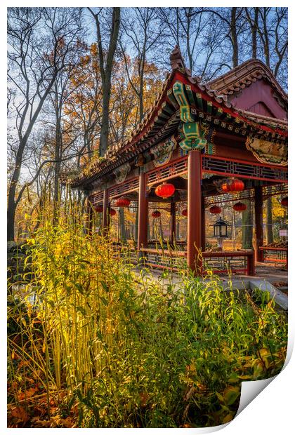 Chinese Pavilion In Lazienki Park In Warsaw Print by Artur Bogacki