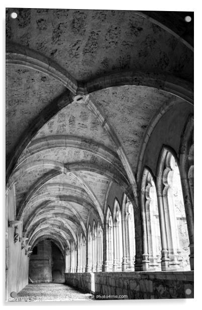 Cathedral Cloisters, Saint-Jean-de-Maurienne Acrylic by Imladris 