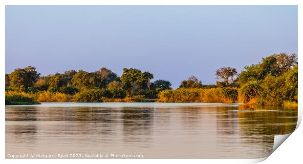 Okavango River Botswana Print by Margaret Ryan