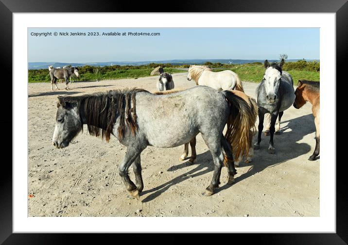 Wild Ponies in the Gelligaer Common Car Park in Se Framed Mounted Print by Nick Jenkins