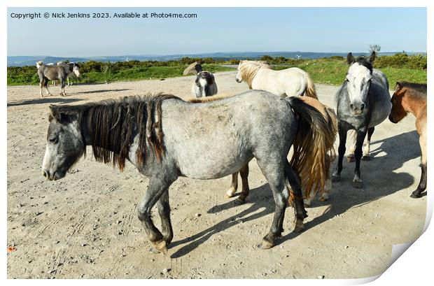 Wild Ponies in the Gelligaer Common Car Park in Se Print by Nick Jenkins