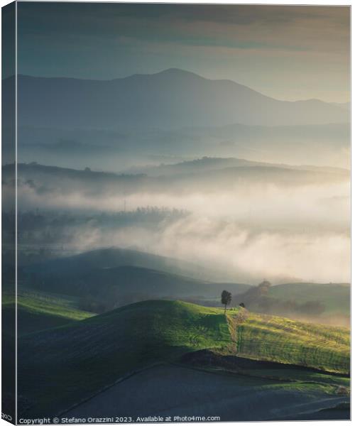 Foggy landscape in Volterra and a lonely tree. Tuscany, Italy Canvas Print by Stefano Orazzini