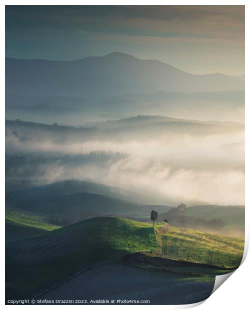 Foggy landscape in Volterra and a lonely tree. Tuscany, Italy Print by Stefano Orazzini