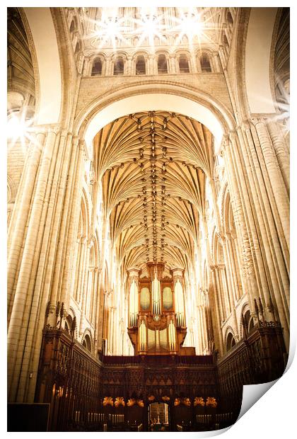 Norwich Cathedral Interior Print by Jules D Truman