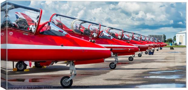 The Reds Nose Day  Canvas Print by Rick Lindley
