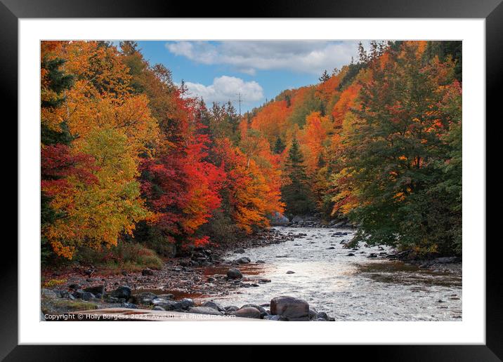 Autumn's Palette Unleashed at Newfoundland Falls Framed Mounted Print by Holly Burgess