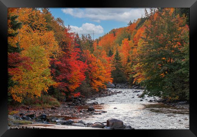 Autumn's Palette Unleashed at Newfoundland Falls Framed Print by Holly Burgess