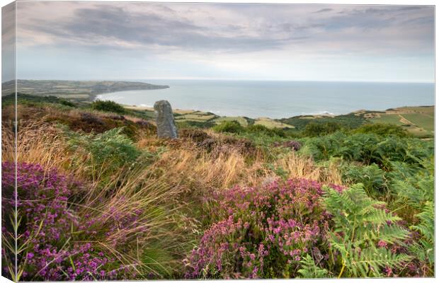 Heather at Ravenscar overlooking Robin Hoods Bay Canvas Print by Martin Williams