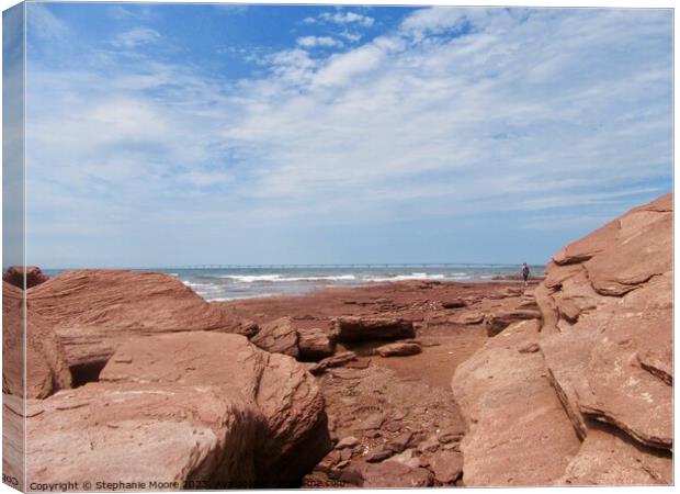 Red rocks of PEI Canvas Print by Stephanie Moore