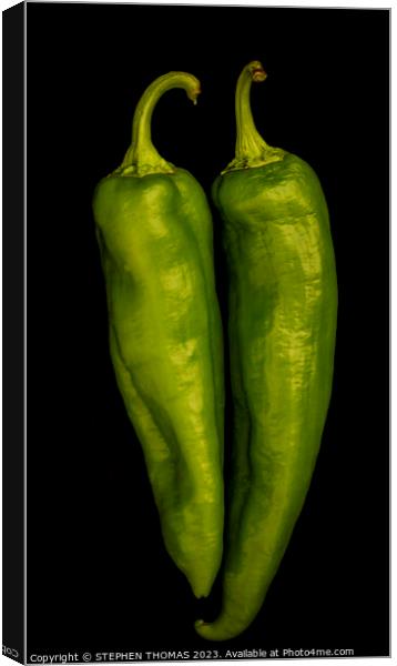 Green Chilli Peppers Canvas Print by STEPHEN THOMAS