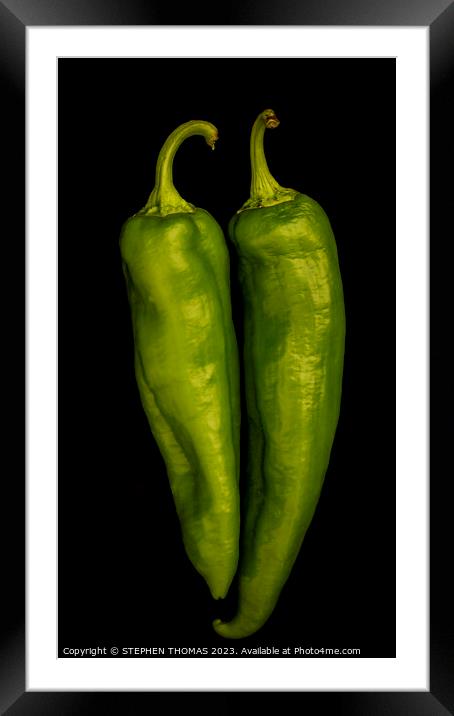Green Chilli Peppers Framed Mounted Print by STEPHEN THOMAS