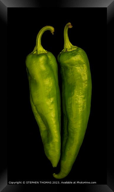 Green Chilli Peppers Framed Print by STEPHEN THOMAS
