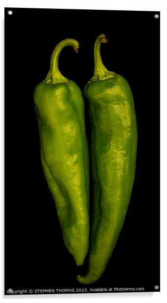 Green Chilli Peppers Acrylic by STEPHEN THOMAS