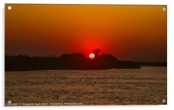 Okavango river sunset Acrylic by Margaret Ryan