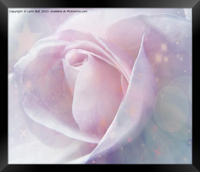 Pink Rose with Stars Framed Print by Lynn Bolt