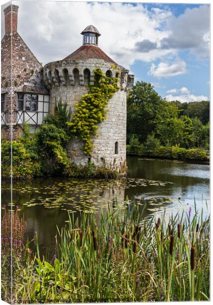 Round tower of Scotney Castle, Canvas Print by Clive Wells