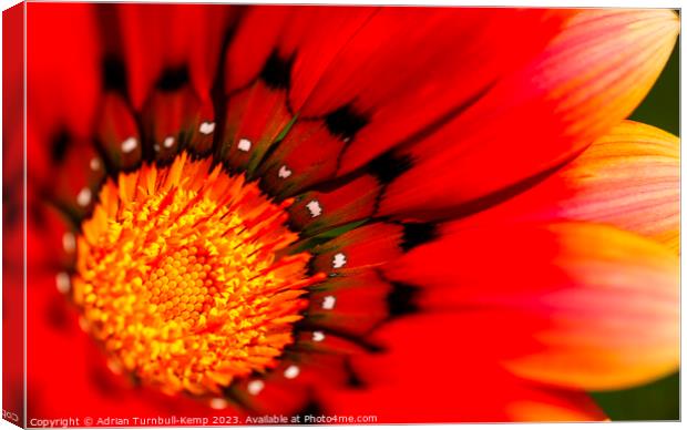 Orange and red rays Canvas Print by Adrian Turnbull-Kemp