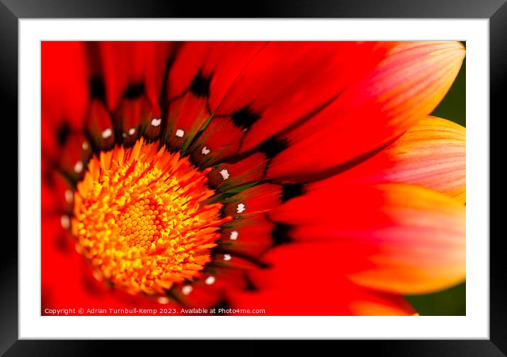Orange and red rays Framed Mounted Print by Adrian Turnbull-Kemp