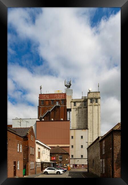 Ideal Flour Framed Print by Glen Allen