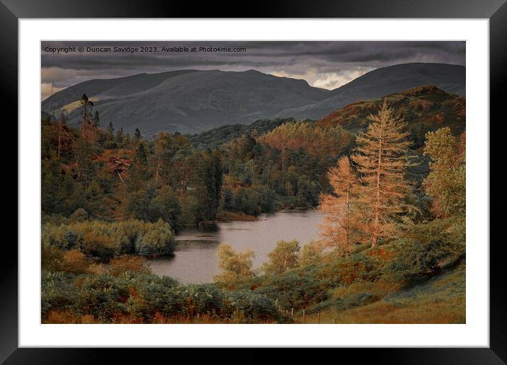 Tarn Hows in the lake district  Framed Mounted Print by Duncan Savidge