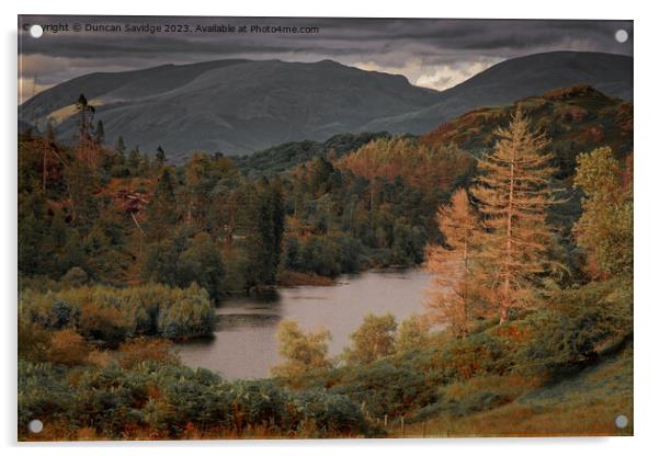 Tarn Hows in the lake district  Acrylic by Duncan Savidge