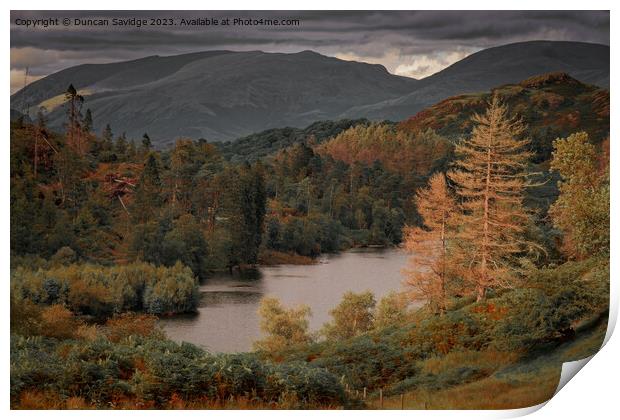 Tarn Hows in the lake district  Print by Duncan Savidge