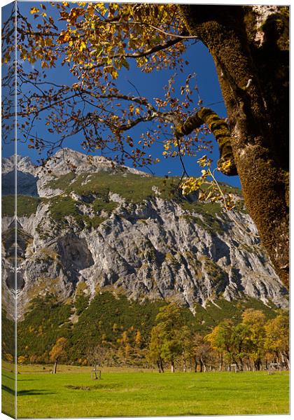 Fall colors in the alps Canvas Print by Thomas Schaeffer