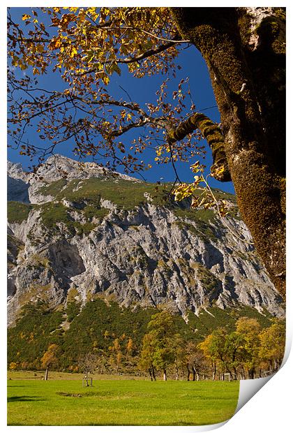 Fall colors in the alps Print by Thomas Schaeffer