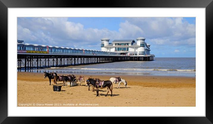 Weston-super-Mare Donkeys on the Beach Framed Mounted Print by Diana Mower