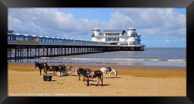 Weston-super-Mare Donkeys on the Beach Framed Print by Diana Mower