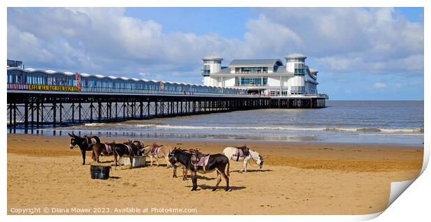Weston-super-Mare Donkeys on the Beach Print by Diana Mower