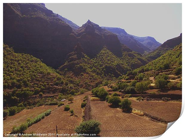 Gran Canaria Print by Andrew Middleton