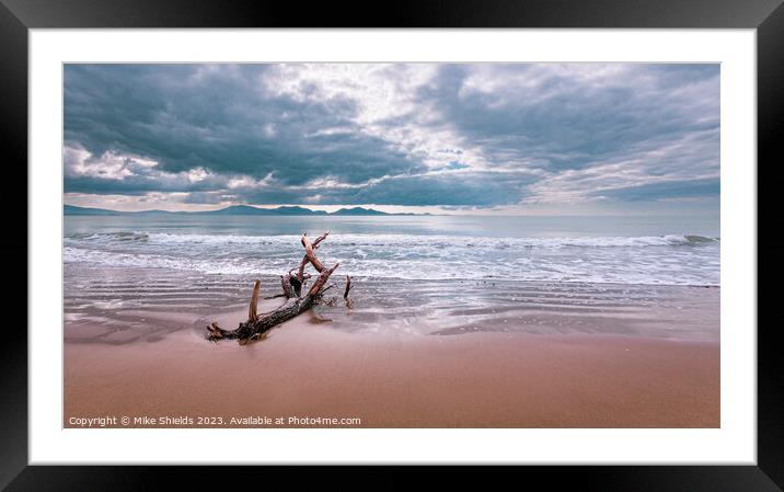 Coastal Relic: Time-Weathered Driftwood Framed Mounted Print by Mike Shields