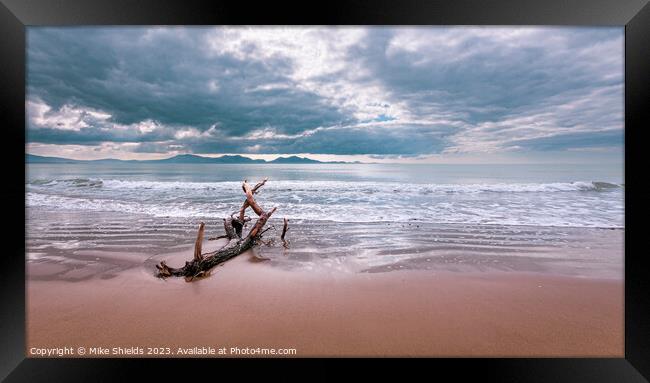 Coastal Relic: Time-Weathered Driftwood Framed Print by Mike Shields