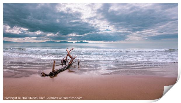 Coastal Relic: Time-Weathered Driftwood Print by Mike Shields