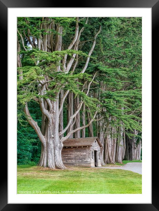 Tree House Framed Mounted Print by Rick Lindley