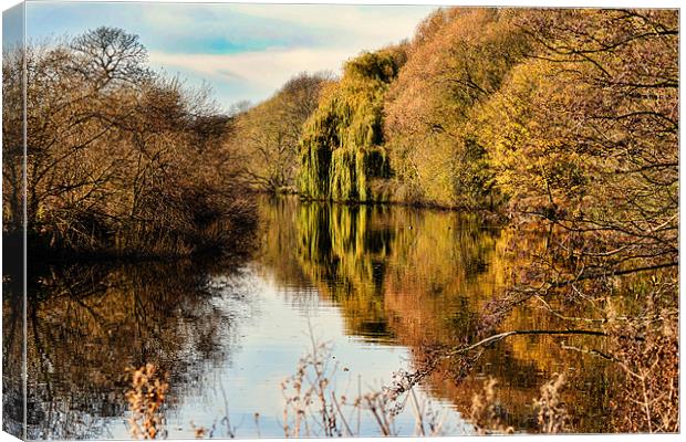 The River Aire at Kirkstall Canvas Print by Colin Metcalf