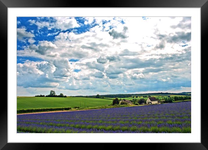 'Captivating Lavender Fields, Cotswolds Charm' Framed Mounted Print by Andy Evans Photos