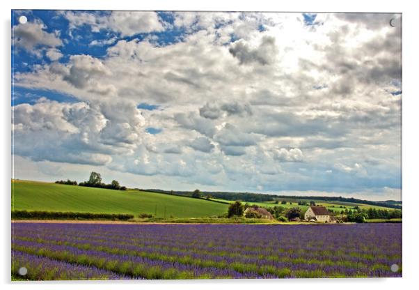 Enchanting Lavender Landscape, Cotswolds England Acrylic by Andy Evans Photos